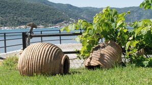 Un paysage côtier avec de grands barils rouillés et une végétation luxuriante.
