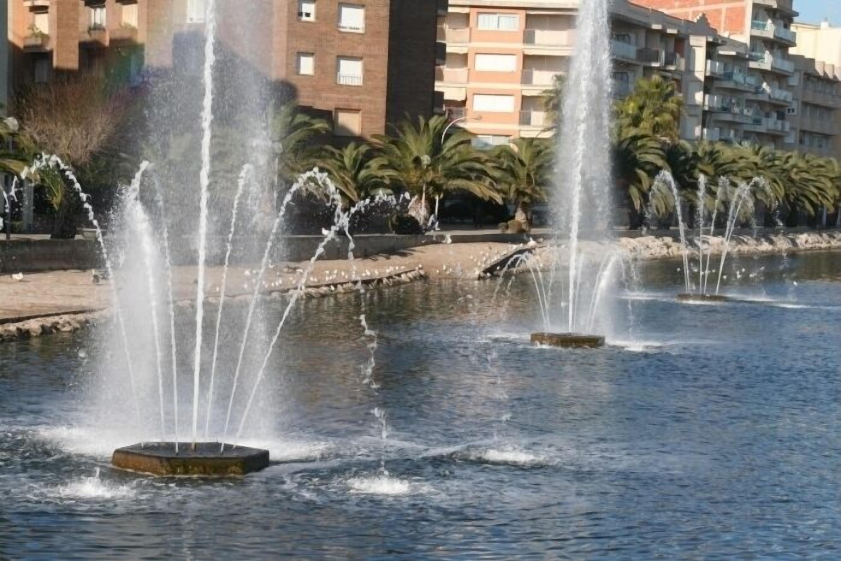 A water fountain with multiple jets in a pool, surrounded by palm trees and a building in the background.