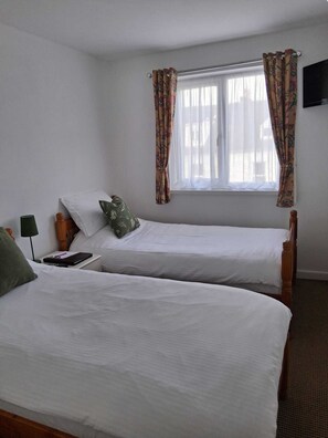 Basic Twin Room | Iron/ironing board, free WiFi - The Barbican Hotel (Paignton)