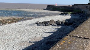 A rocky beach with a lighthouse in the distance.