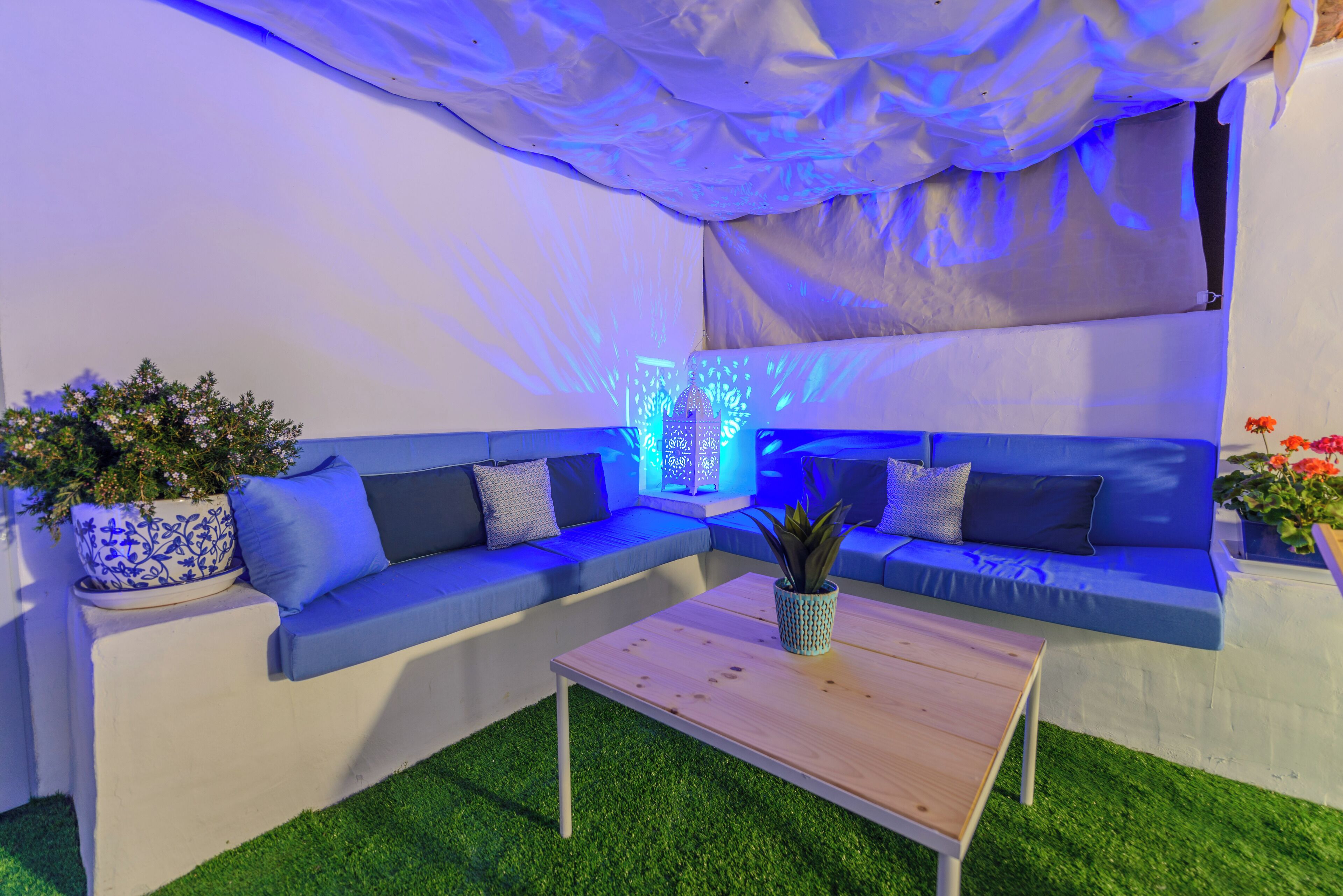 A modern lounge area with a blue sofa, a wooden coffee table, and a decorative plant.