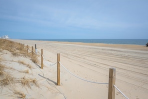 Nær stranden