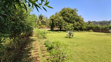 A well-maintained grassy area with a variety of trees and shrubs, a clear sky, and a path leading through the greenery.