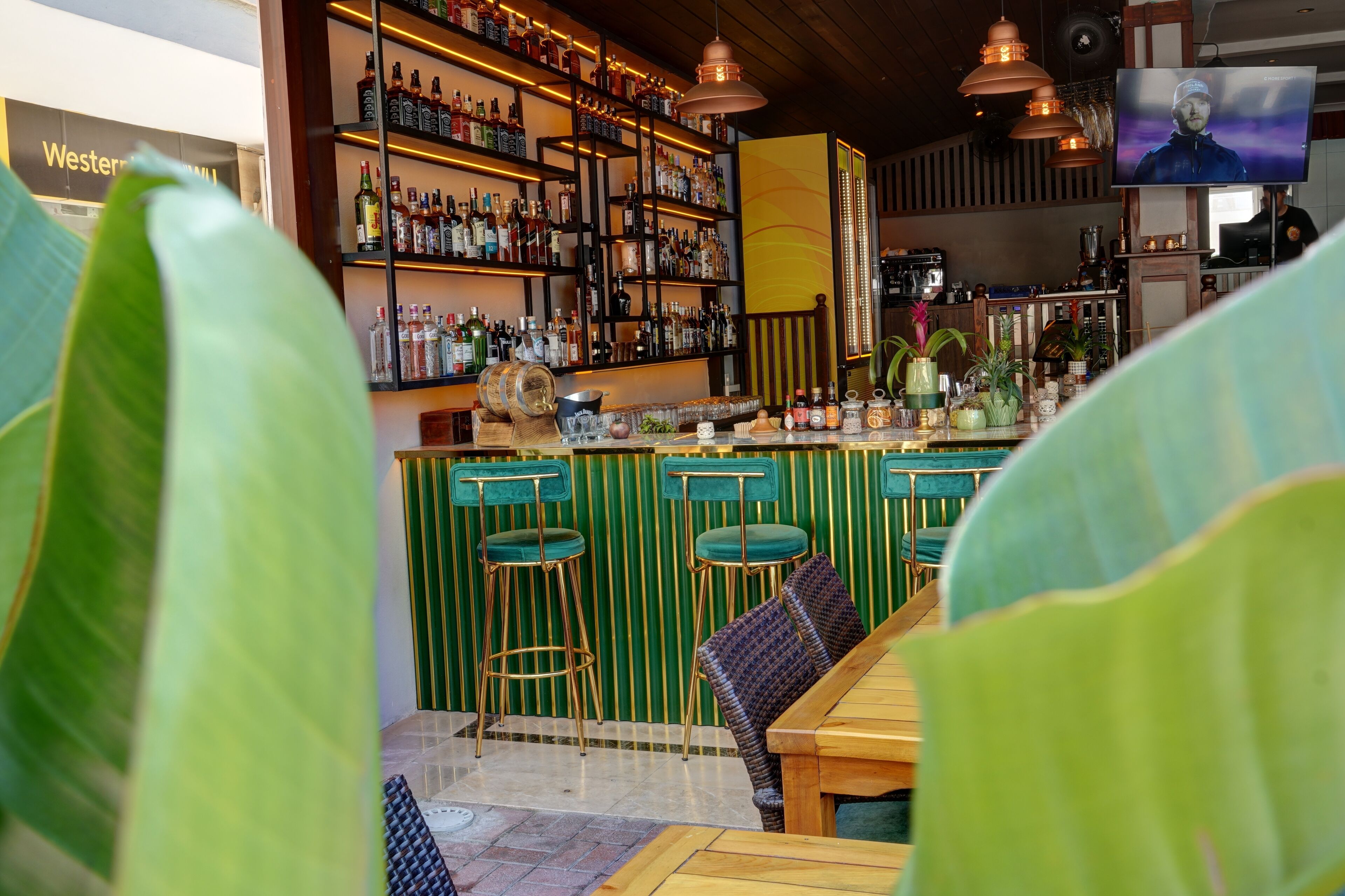 Bar (en la propiedad)