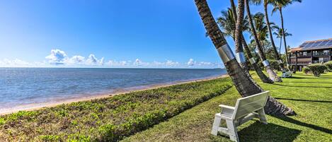 A bench on a grassy area with a view of the ocean and palm trees.