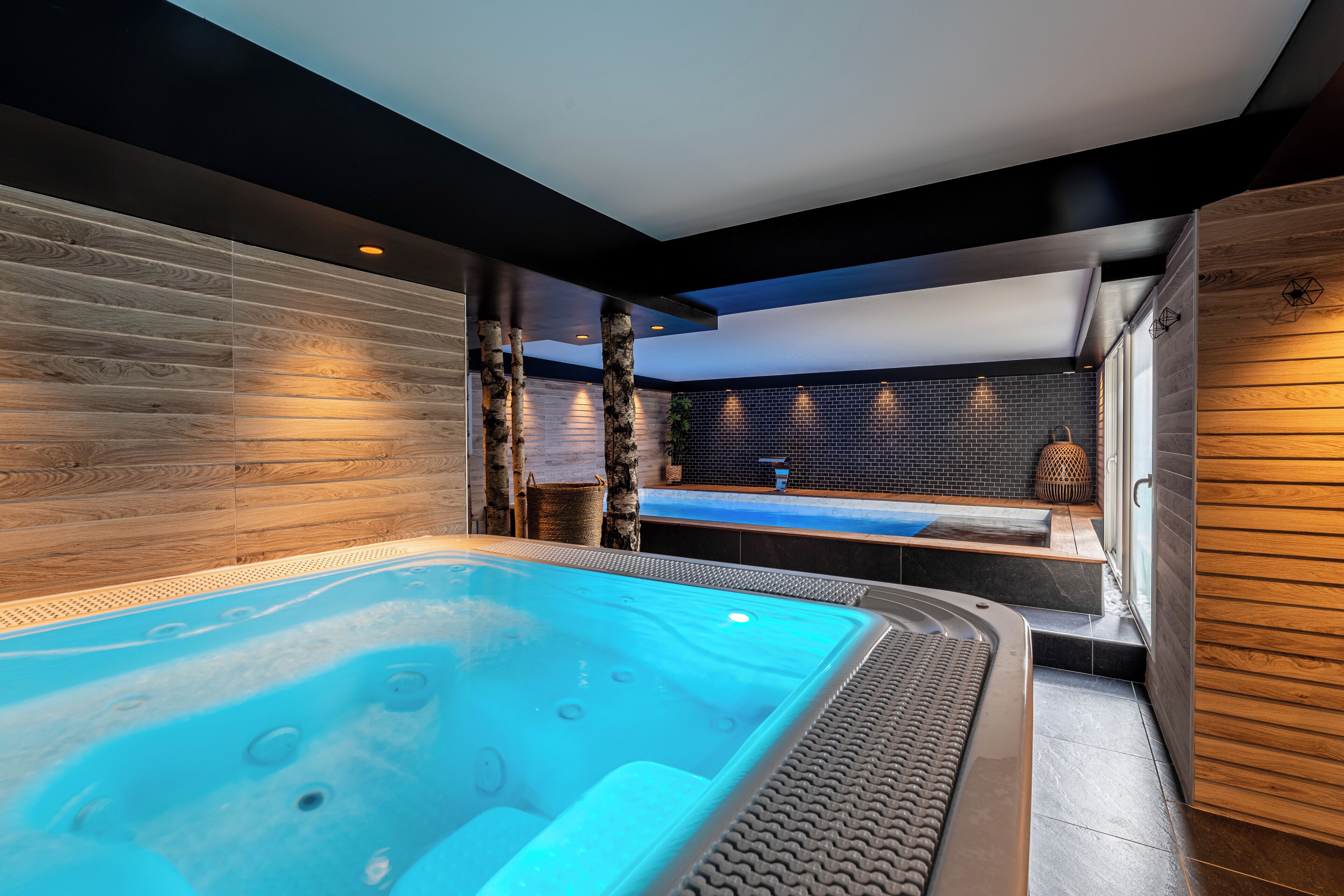 Sauna, hot tub, steam room