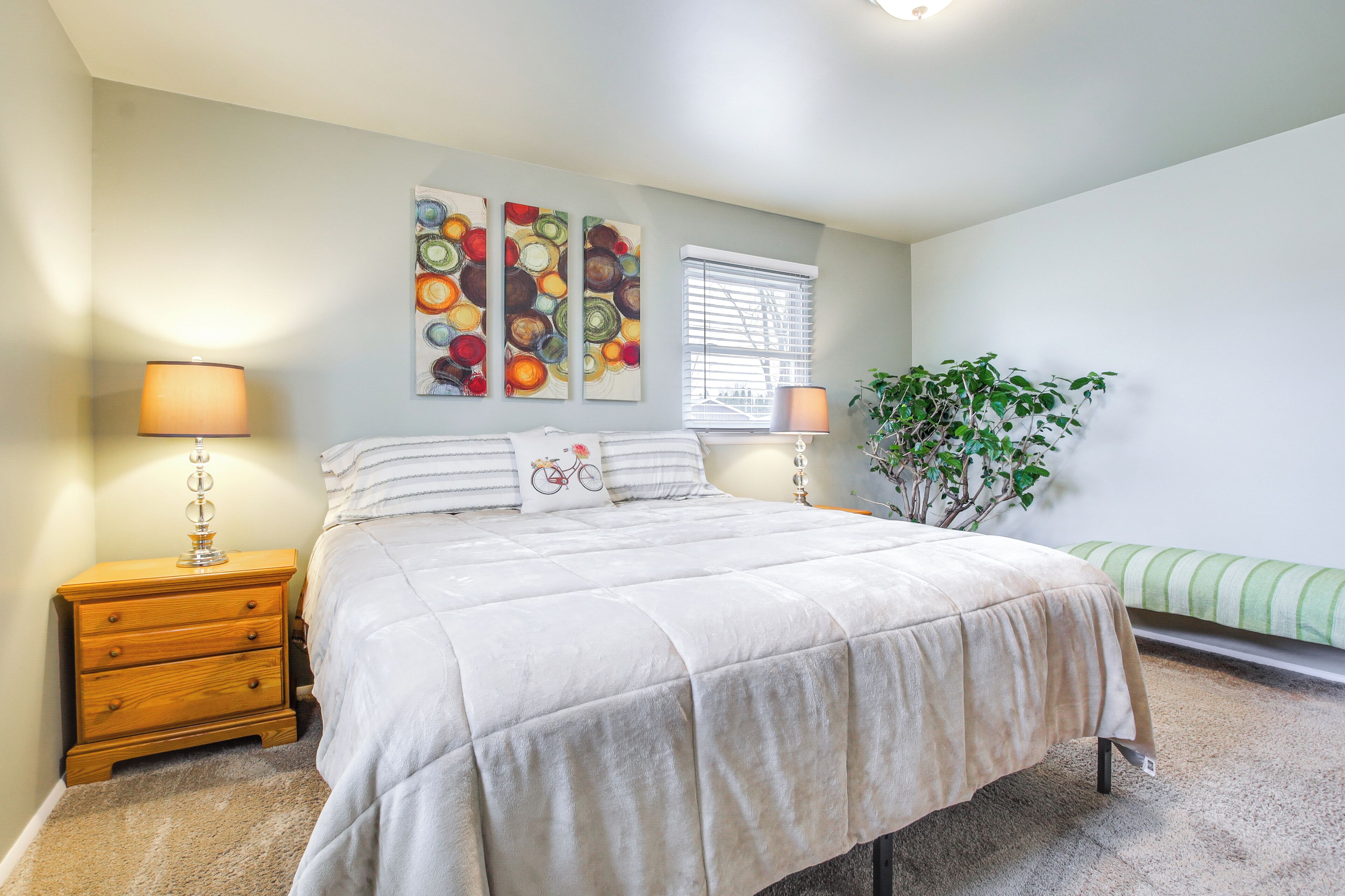 A bedroom with a large bed, two bedside tables, a window with blinds, a green plant, and a wall with three circular paintings.
