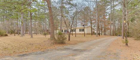 A gravel driveway leading to a house surrounded by tall pine trees.