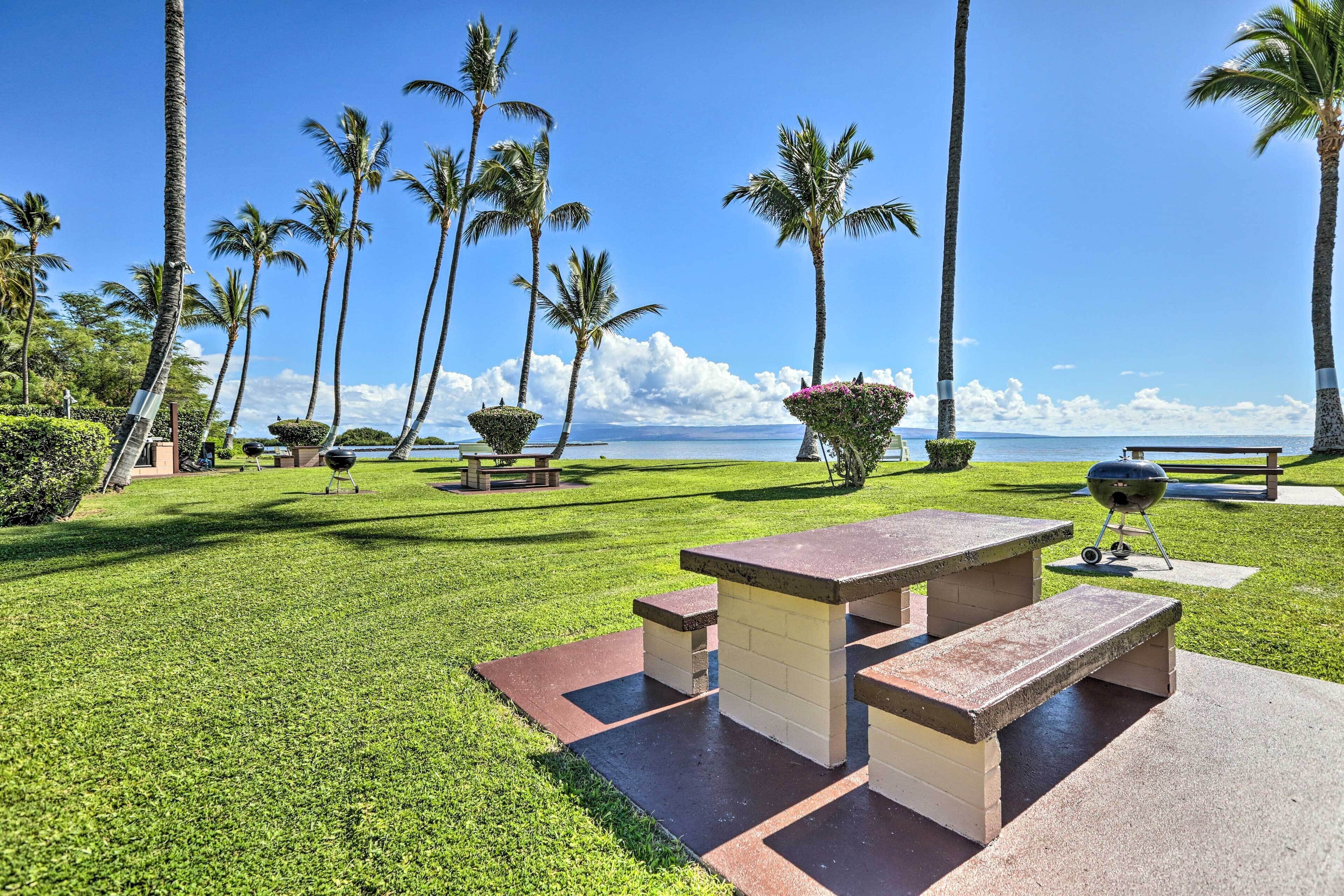 A well-maintained grassy area with picnic tables and barbecue grills, surrounded by palm trees and a clear view of the ocean.