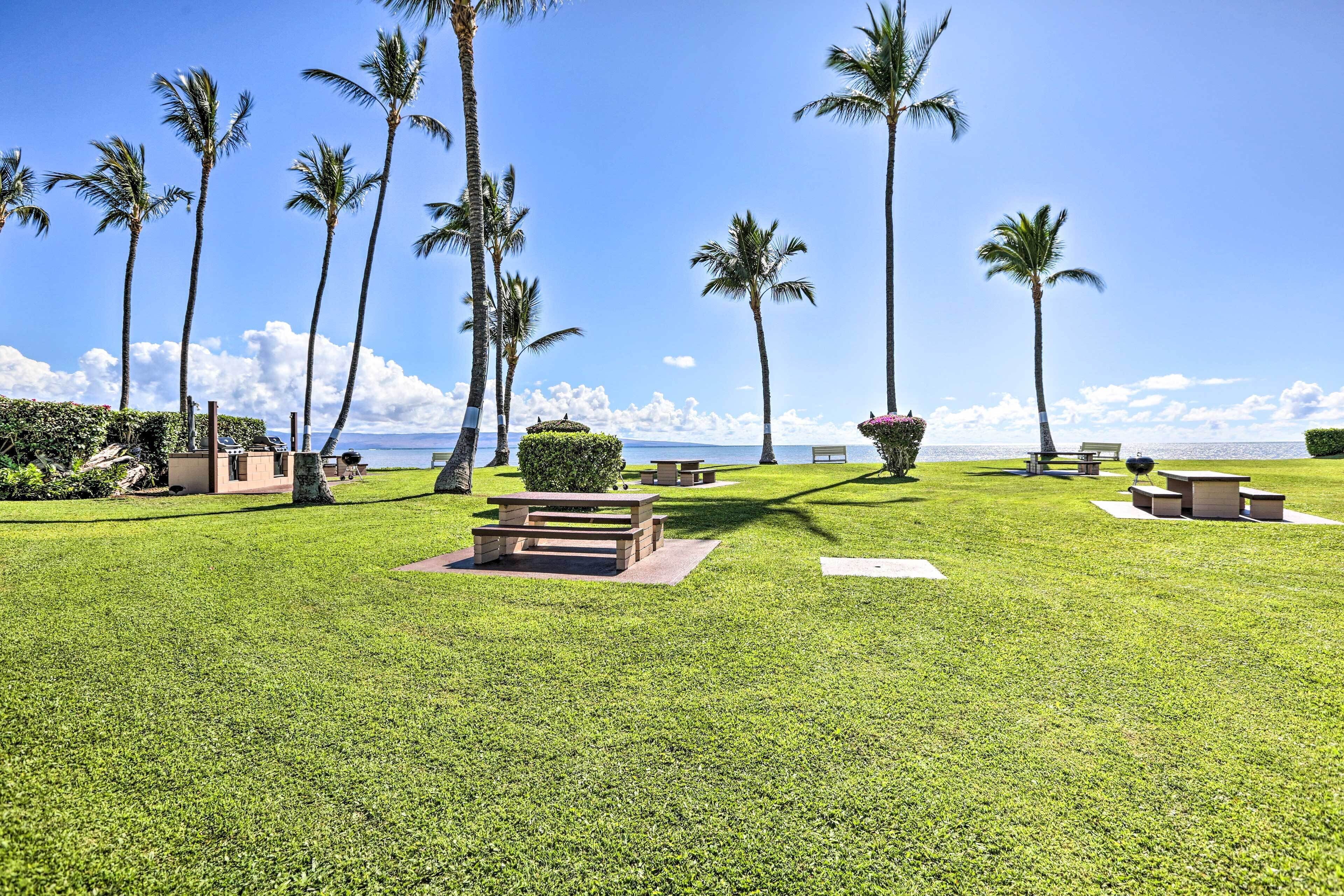 A well-maintained grassy area with multiple picnic tables and benches, surrounded by tall palm trees and a view of the ocean.