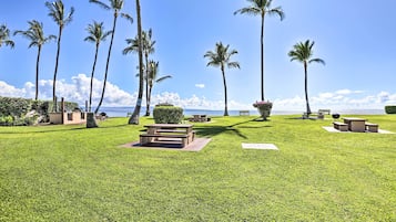 A well-maintained grassy area with multiple picnic tables and benches, surrounded by tall palm trees and a view of the ocean.
