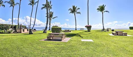 A well-maintained grassy area with multiple picnic tables and benches, surrounded by tall palm trees and a view of the ocean.