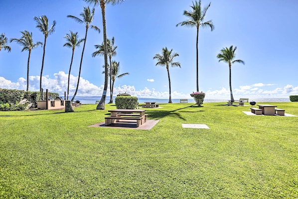 A well-maintained grassy area with multiple picnic tables and benches, surrounded by tall palm trees and a view of the ocean.