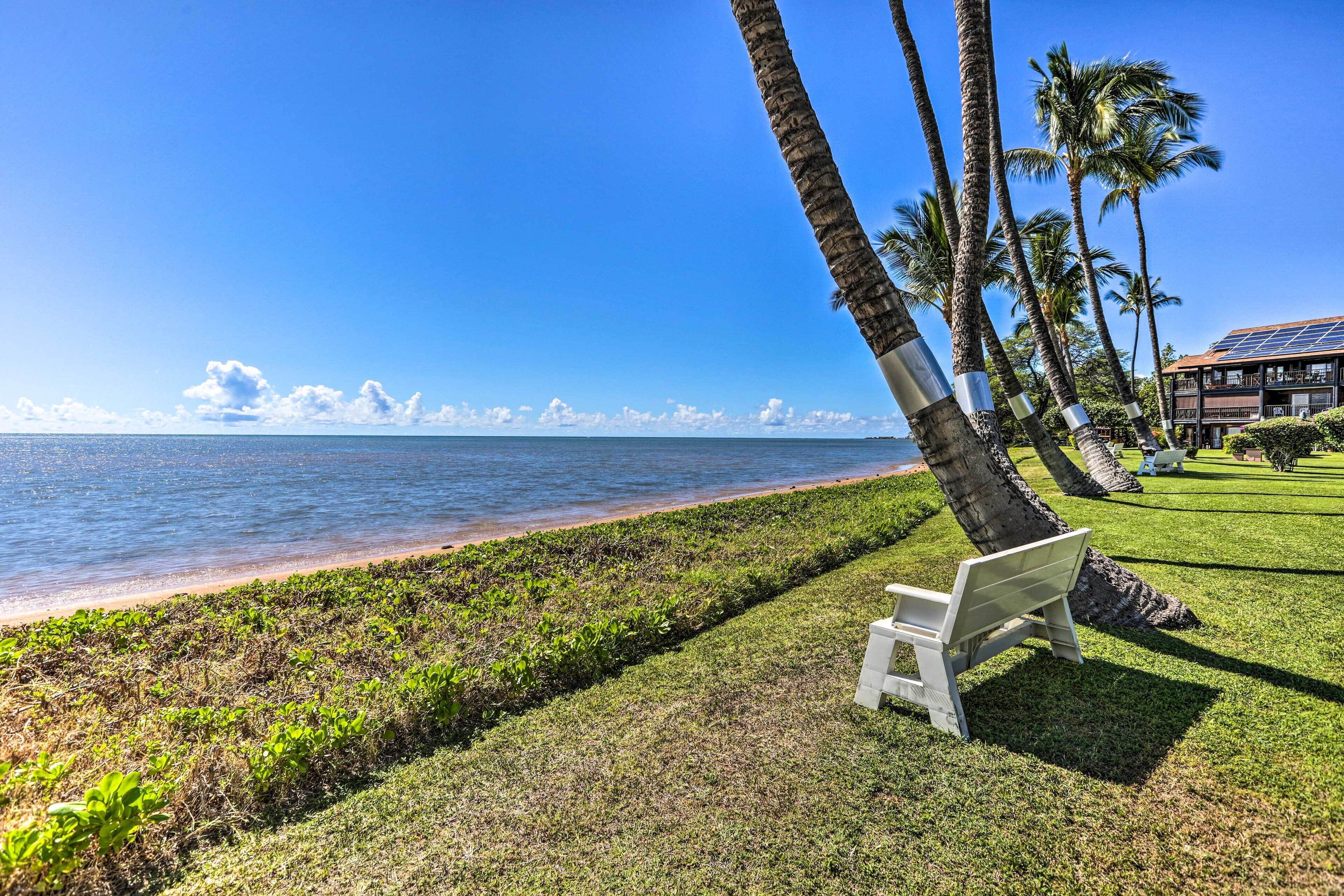A bench on a grassy area with a view of the ocean and palm trees.