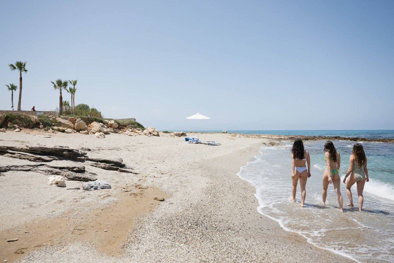 Ein Strand mit Kiesküste, Palmen und blauem Himmel.