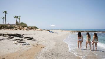 Ein Strand mit Kiesküste, Palmen und blauem Himmel.