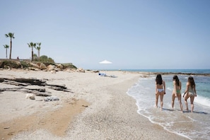 Une plage au rivage de galets, bordée de palmiers, sous un ciel dégagé.
