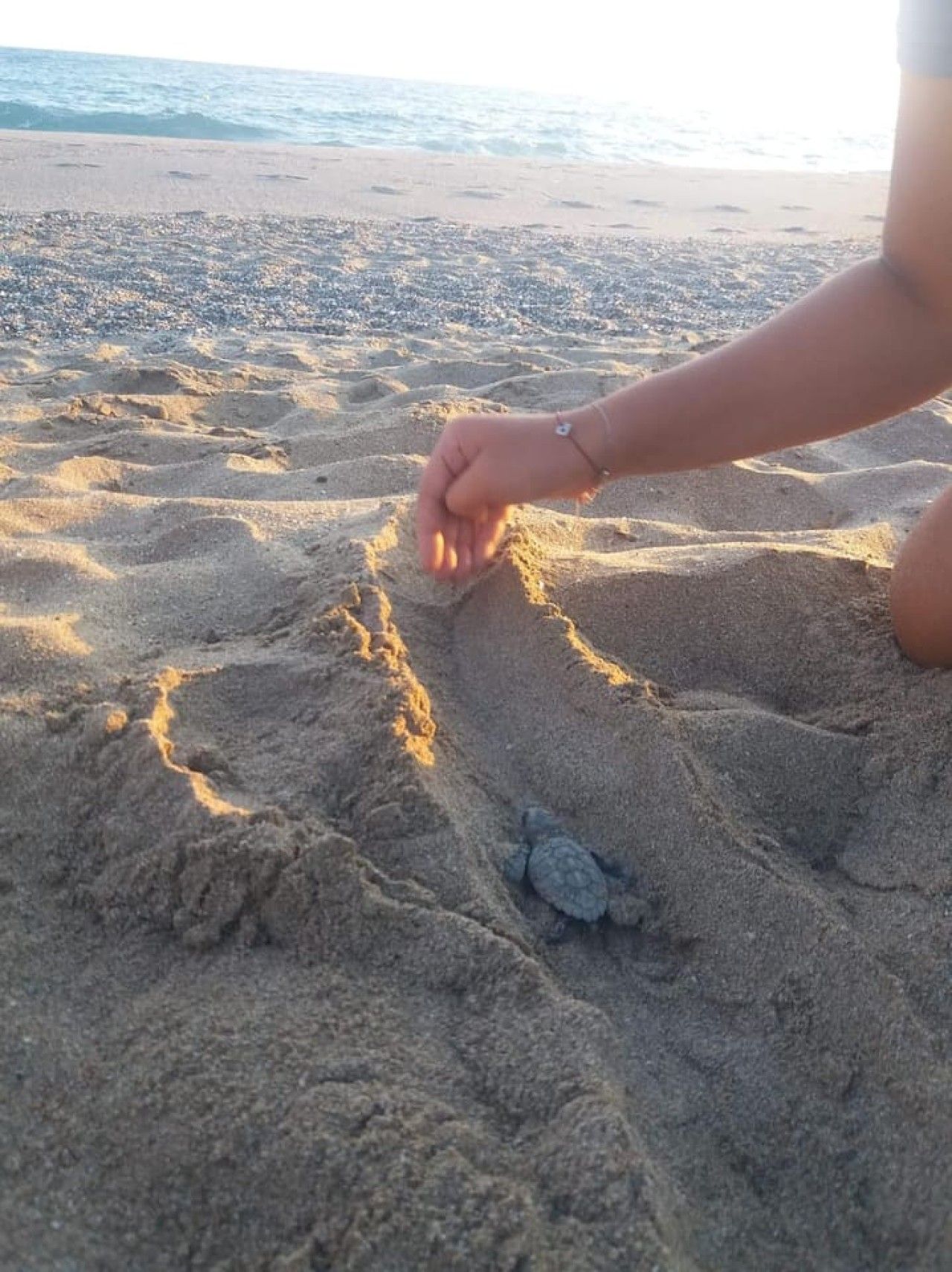 Ein sandiger Strand mit Fußabdrücken und einer Schildkröte.