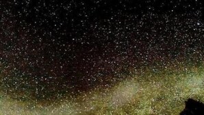 A cabin with a red roof, surrounded by trees, under a starry night sky. - In The Woods Lodge With hot tub Inside Puszcza Knyszyśnka - Two-bedroom Villa (Suprasl)