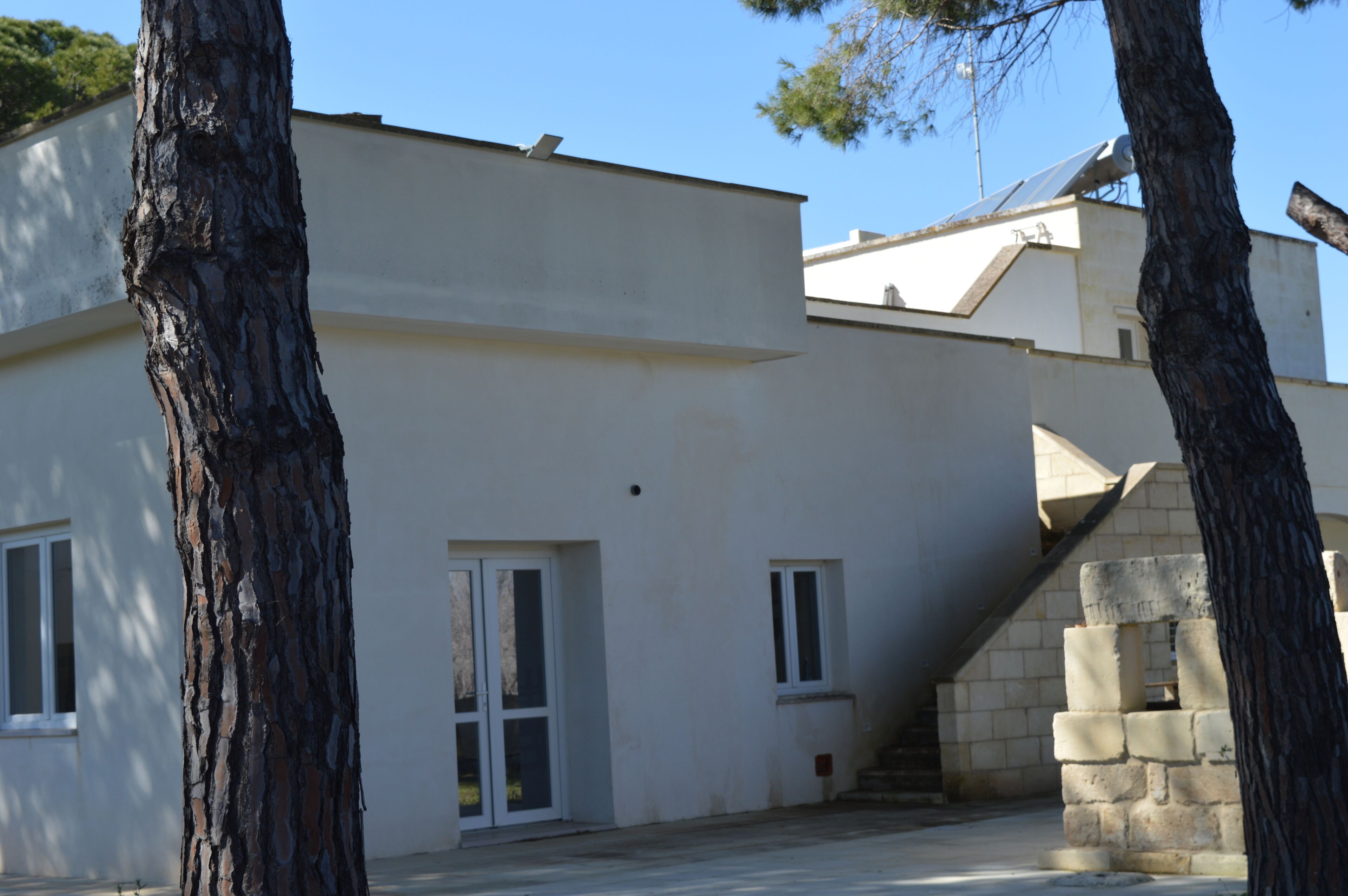 A modern building with a flat roof, large windows, and a stone staircase leading to an upper level.