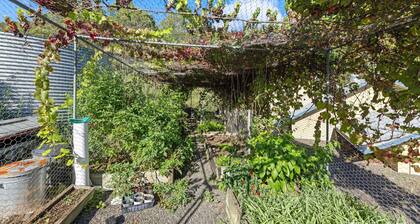Metawise Hunter Valley Olive Farm Stay