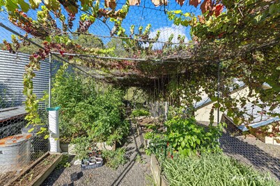 Metawise Hunter Valley Olive Farm Stay