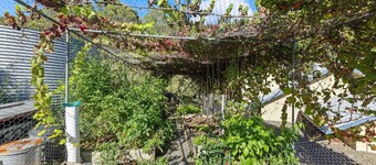 Metawise Hunter Valley Olive Farm Stay