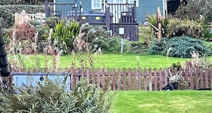 BroomBush