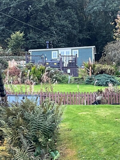 BroomBush