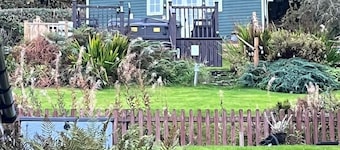 BroomBush
