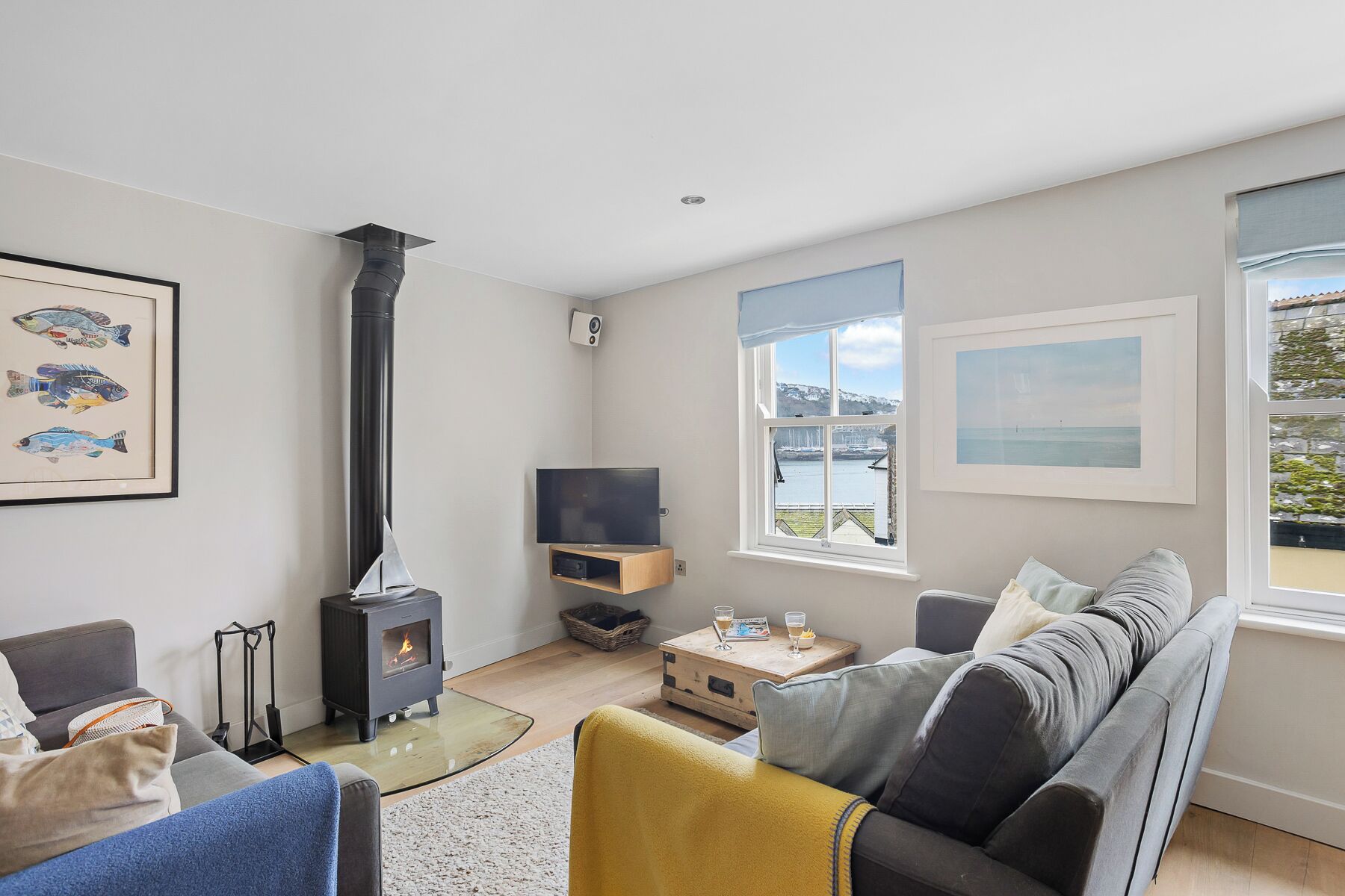 TV, fireplace, books