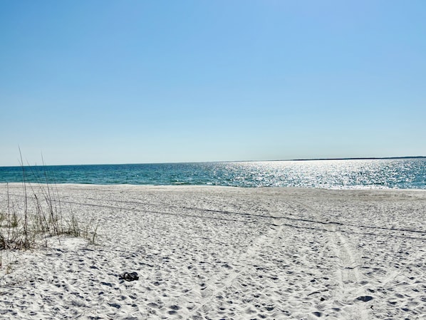Nära stranden