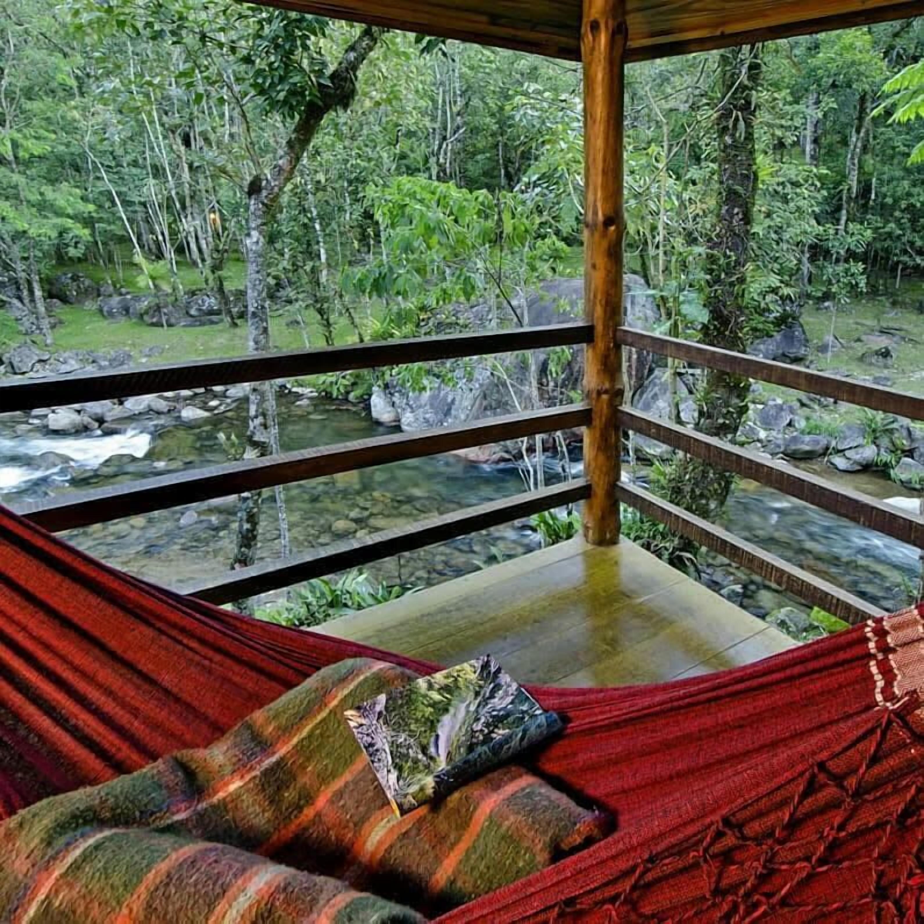 Apartment, River View | View from room