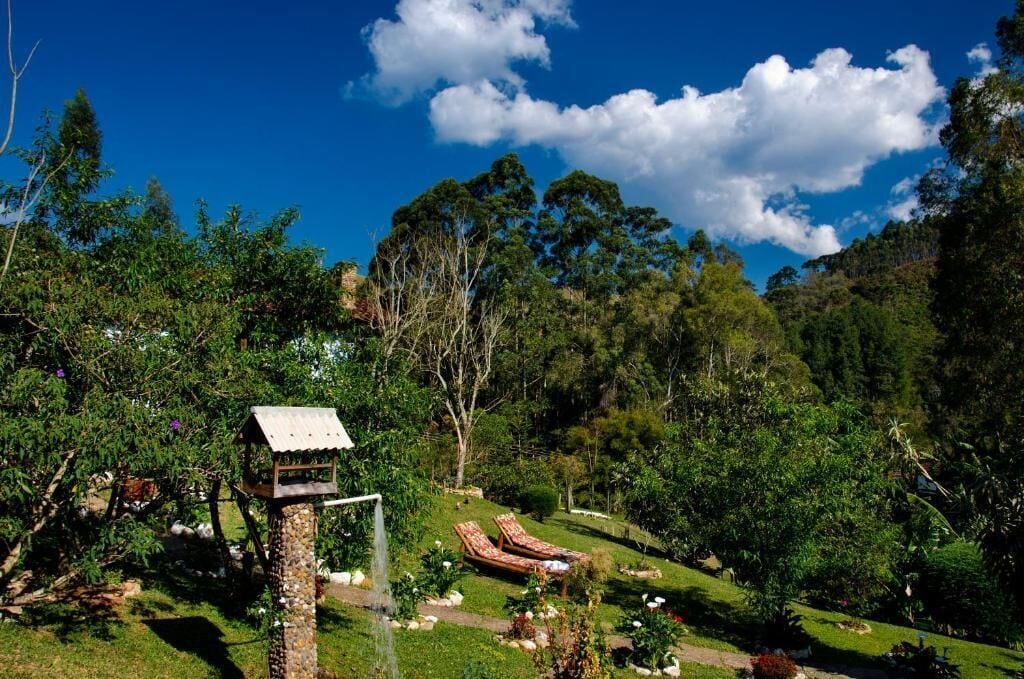 A lush garden with a bird feeder, a stone pillar, and two sun loungers.