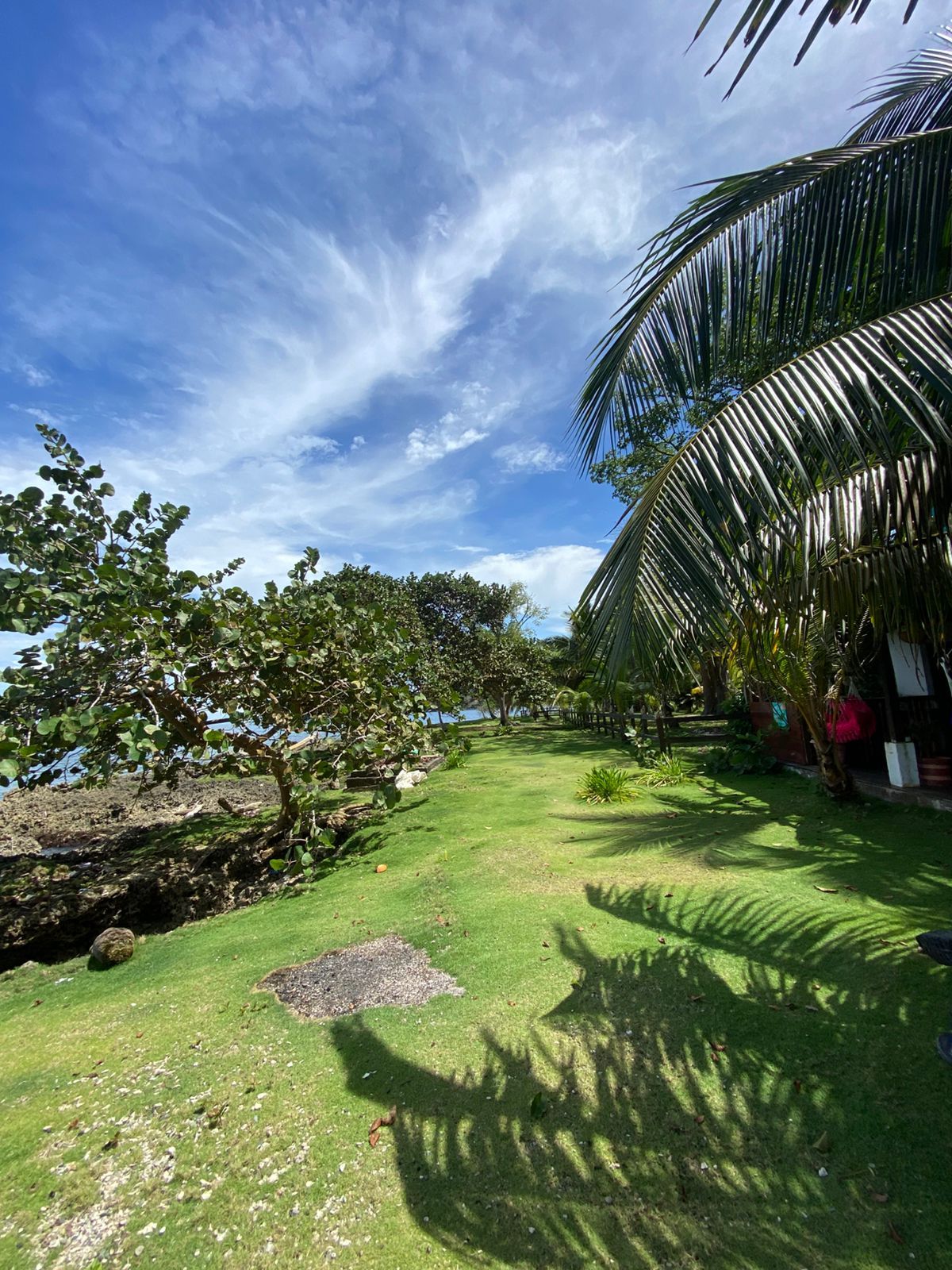Un jardin bien entretenu, avec une variété d’arbres, un ciel dégagé et une vue sur la mer.
