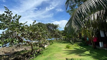 Un jardín cuidado con diversos árboles, cielo despejado y vista al mar.