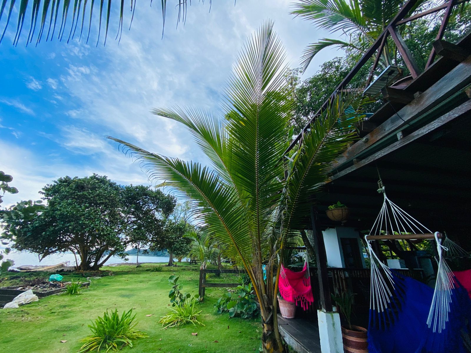 A tropical outdoor area with a hammock, a wooden deck, and a view of the sea.