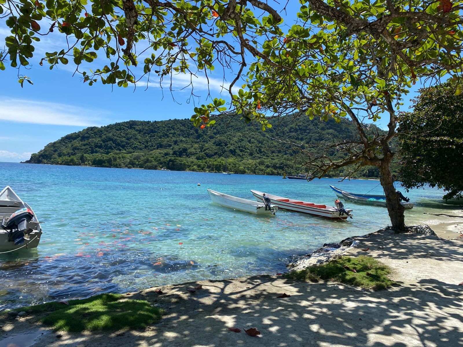 Una playa con barcos, agua cristalina y una isla boscosa al fondo.