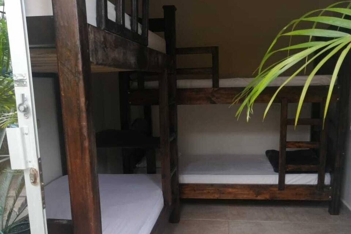 A bunk bed room with a wooden frame, a potted plant, and tiled flooring.