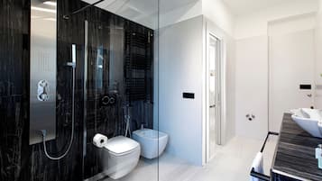 Shower, hair dryer, bidet, towels