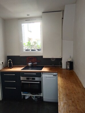 Oven, stovetop, dishwasher