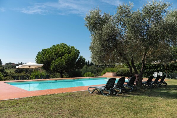 Relax by the serene pool surrounded by lush greenery and mature trees.