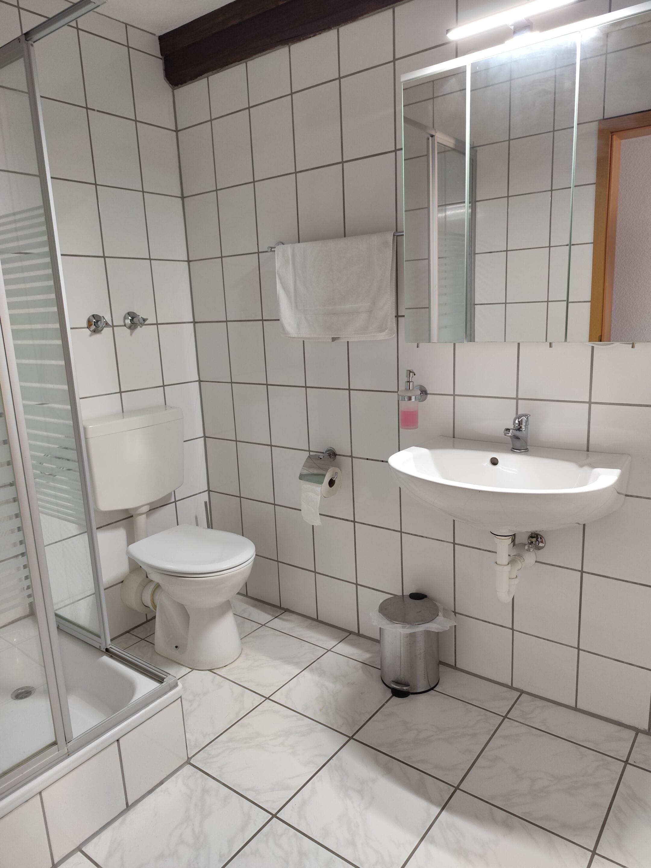 Ein Badezimmer mit Toilette, Waschbecken und Duschbereich.