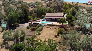 A house with a swimming pool, surrounded by olive trees and a garden.