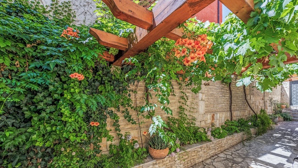 A stone wall with climbing plants and a wooden pergola structure. - Your Royal Retreat: Luxury Villa Anna in Split's Old Town (Split)