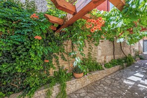 A stone wall with climbing plants and a wooden pergola structure.