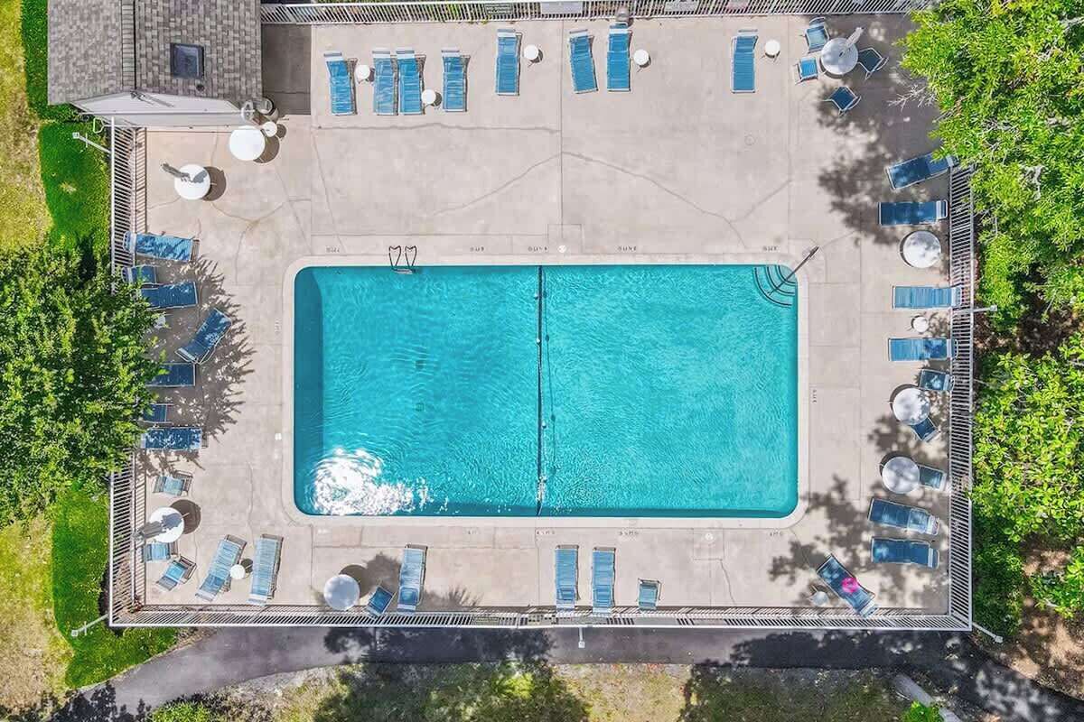 Eine Vogelperspektive auf einen rechteckigen Swimmingpool mit Liegestühlen und Sonnenschirmen darum herum.
