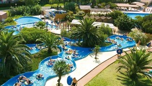 Parque acuático con múltiples toboganes y piscinas, rodeado de palmeras y una zona junto a la piscina con sombrillas.