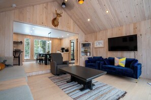 TV connectée, cheminée, livres, chaîne hi-fi
