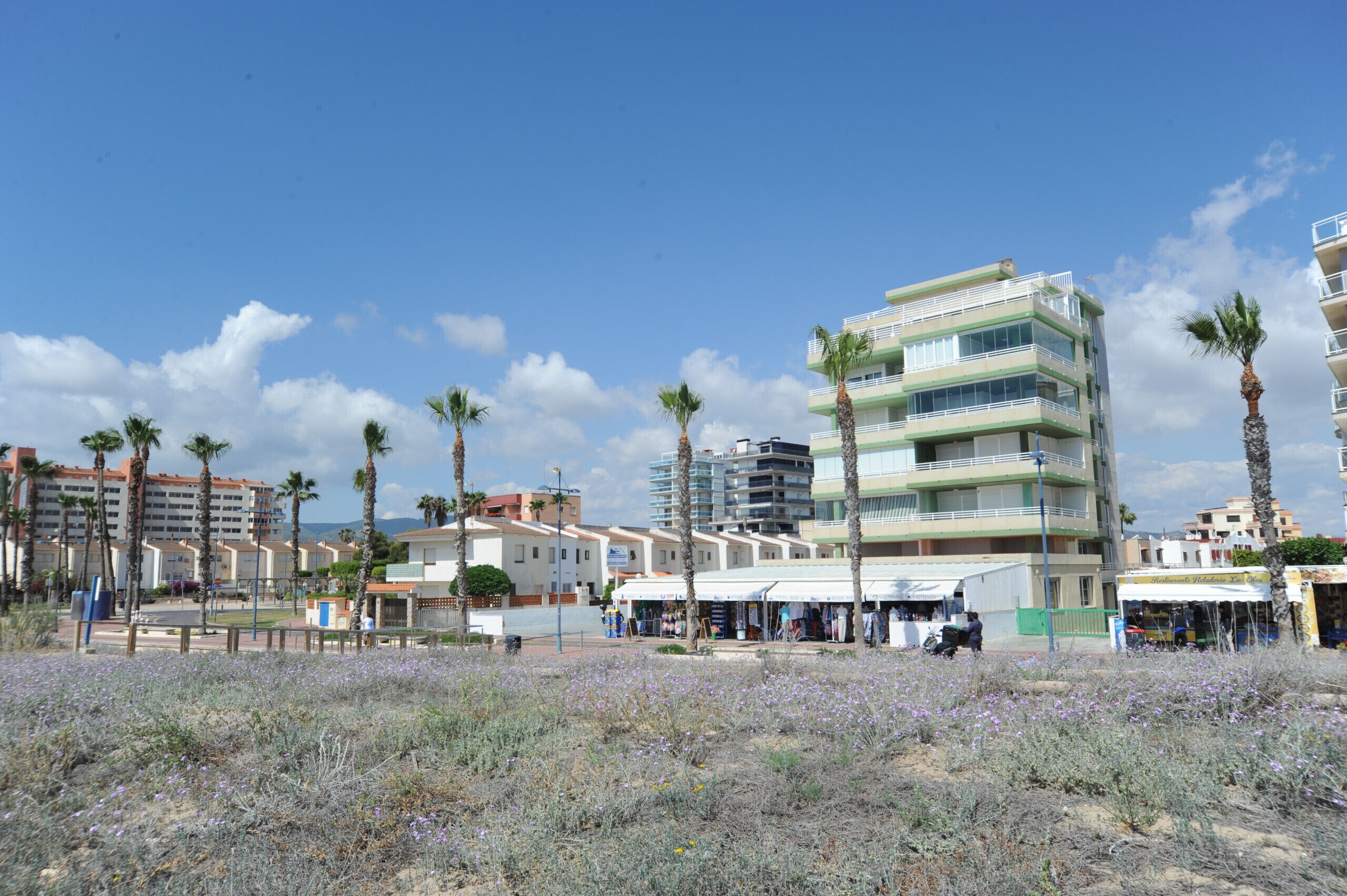 A coastal hotel with multiple floors, palm trees, and a beach area with sparse vegetation.
